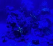 IMG_1358.jpeg