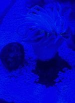IMG_1359.jpeg