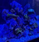 IMG_1368.jpeg