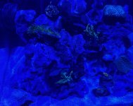 IMG_1369.jpeg