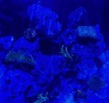 IMG_1371.jpeg