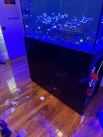 IMG_1942.jpeg