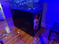 IMG_1945.jpeg