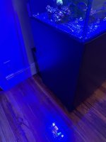 IMG_1990.jpeg