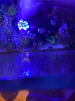 IMG_0532.jpeg