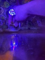 IMG_0534.jpeg