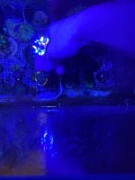IMG_0535.jpeg