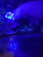 IMG_0536.jpeg