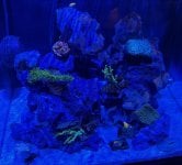 IMG_1377.jpeg