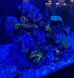 IMG_1376.jpeg