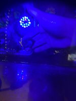 IMG_0555.jpeg