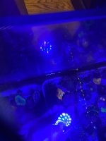 IMG_0556.jpeg