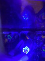 IMG_0557.jpeg