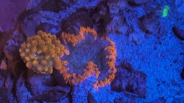 PXL_20240323_115539416.jpg