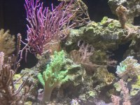 IMG_7618.jpeg
