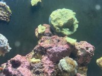 IMG_5695.jpeg