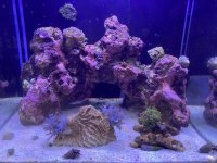 IMG_5658.jpeg