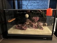 IMG_7168.jpeg