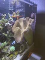 IMG_5071.jpeg