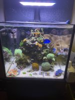 IMG_5073.jpeg