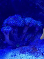 IMG_3226.jpeg