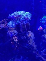 IMG_3225.jpeg