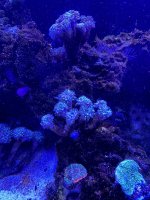 IMG_3224.jpeg