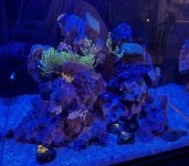 IMG_1470.jpeg