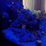 IMG_1471.jpeg