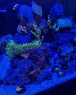 IMG_1473.jpeg
