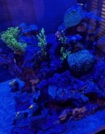 IMG_1474.jpeg