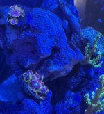 IMG_1476.jpeg