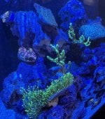 IMG_1477.jpeg