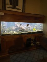 IMG_7341.jpeg