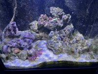 IMG_9242.jpeg