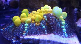 20231029_153904.jpg