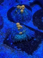IMG_1524.jpeg