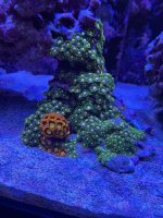 IMG_4328.jpeg