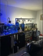 IMG_6486.jpeg