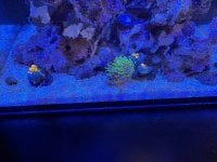 IMG_1582.jpeg
