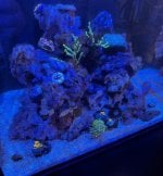 IMG_1583.jpeg