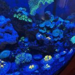 IMG_0286.jpeg