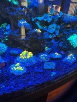 IMG_0288.jpeg
