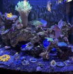 IMG_1318.jpeg