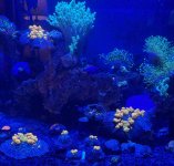 IMG_1203.jpeg