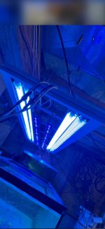 IMG_1405.jpeg