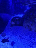 IMG_1899.jpeg