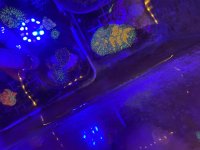 IMG_0714.jpeg