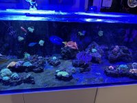 IMG_7882.jpeg