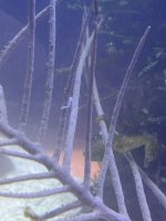 7D160655-2940-4DA6-88DE-AA9E232D5DE1.jpeg